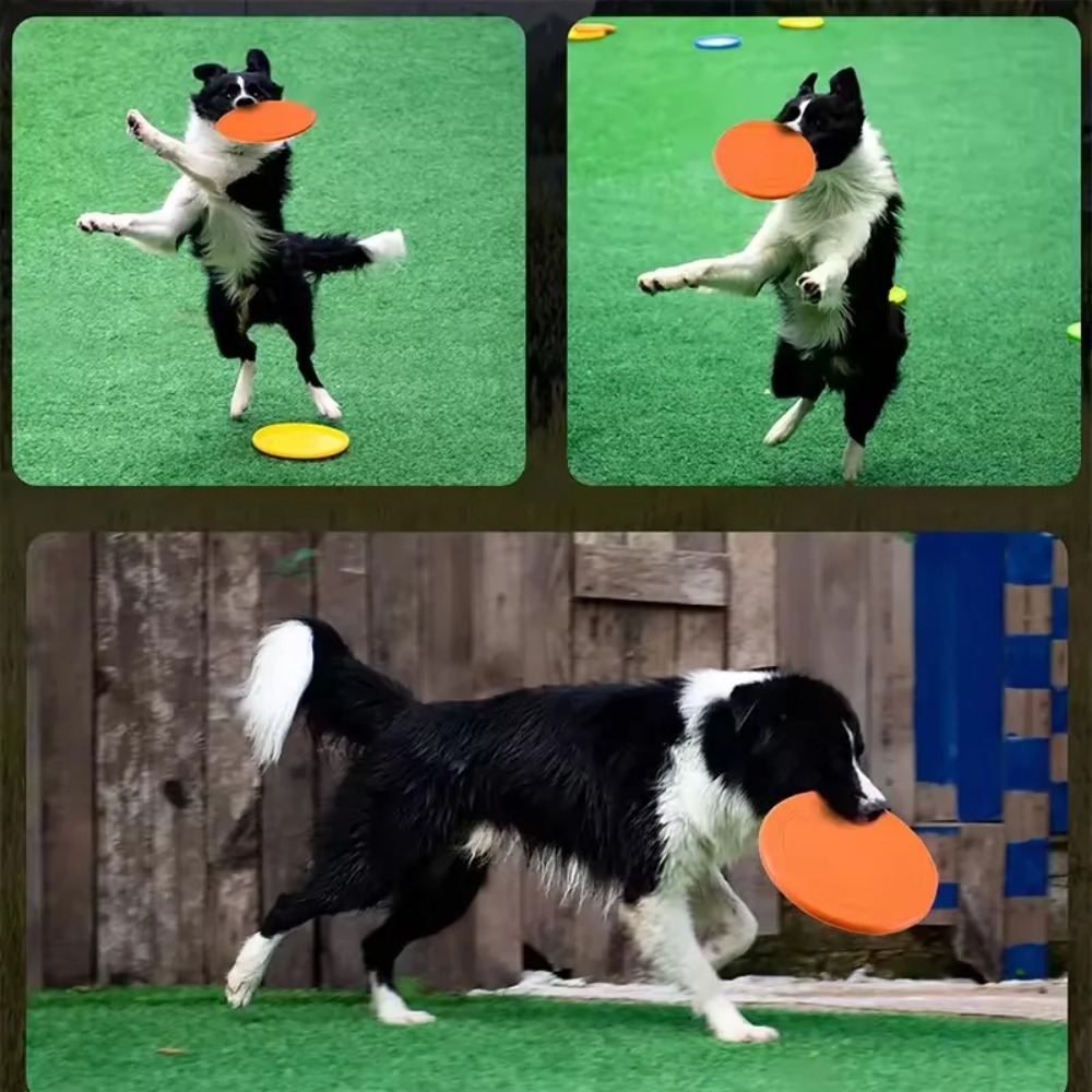 Flying Disc Dog Training Toy - Disco Volante per Cani in TPR,