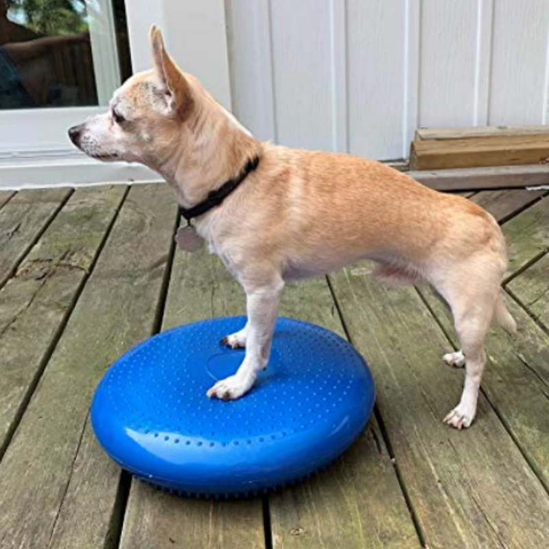 Flying Disc Dog Training Toy - Ausili per l'allenamento dei cani Balance