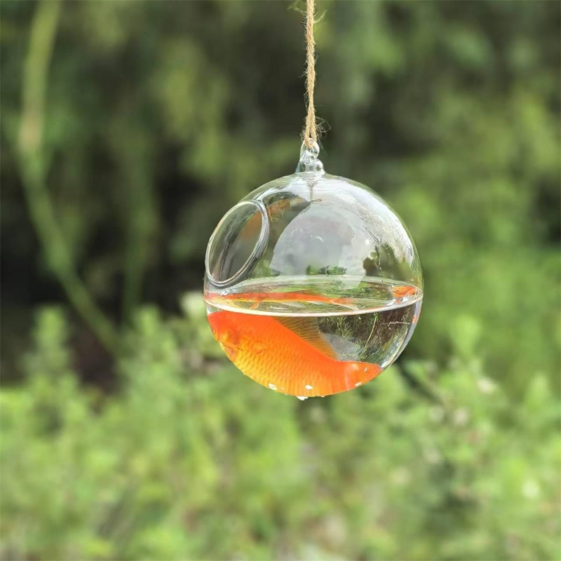 Aquarium - Terrario in Vetro Trasparente con Diametro