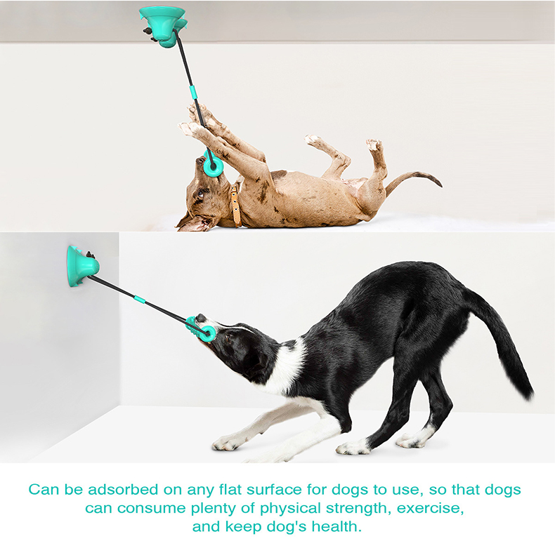 Suction Cup Dog Tug Toy - Giocattolo per cani con doppia ventosa,