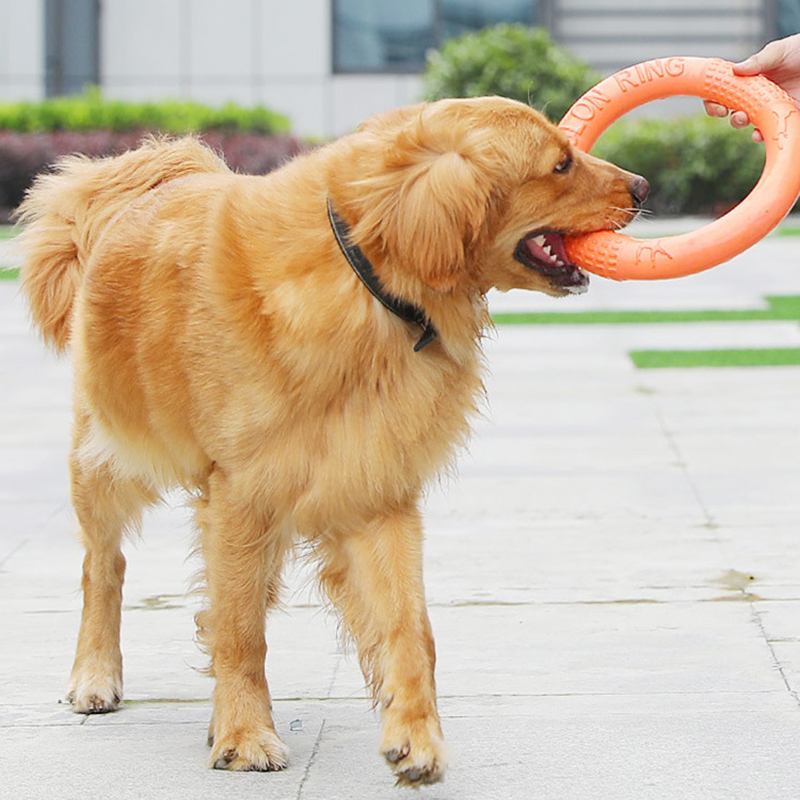 1pc Orange Dog Toys Pet Flying - Flying Disc Dog Training Toy recensione e prezzo