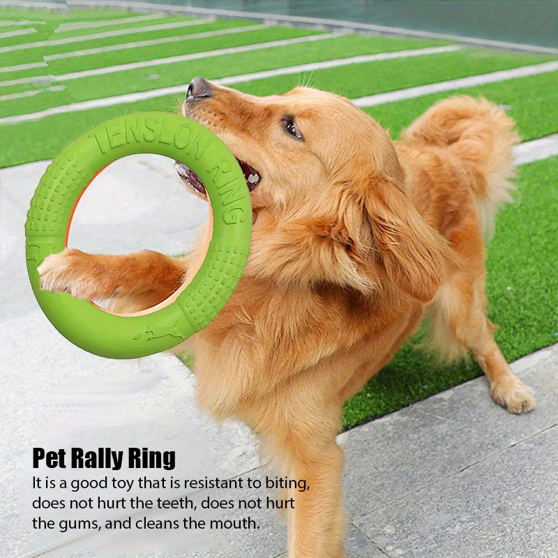 Giocattoli per l'addestramento - Flying Disc Dog Training Toy recensione e prezzo