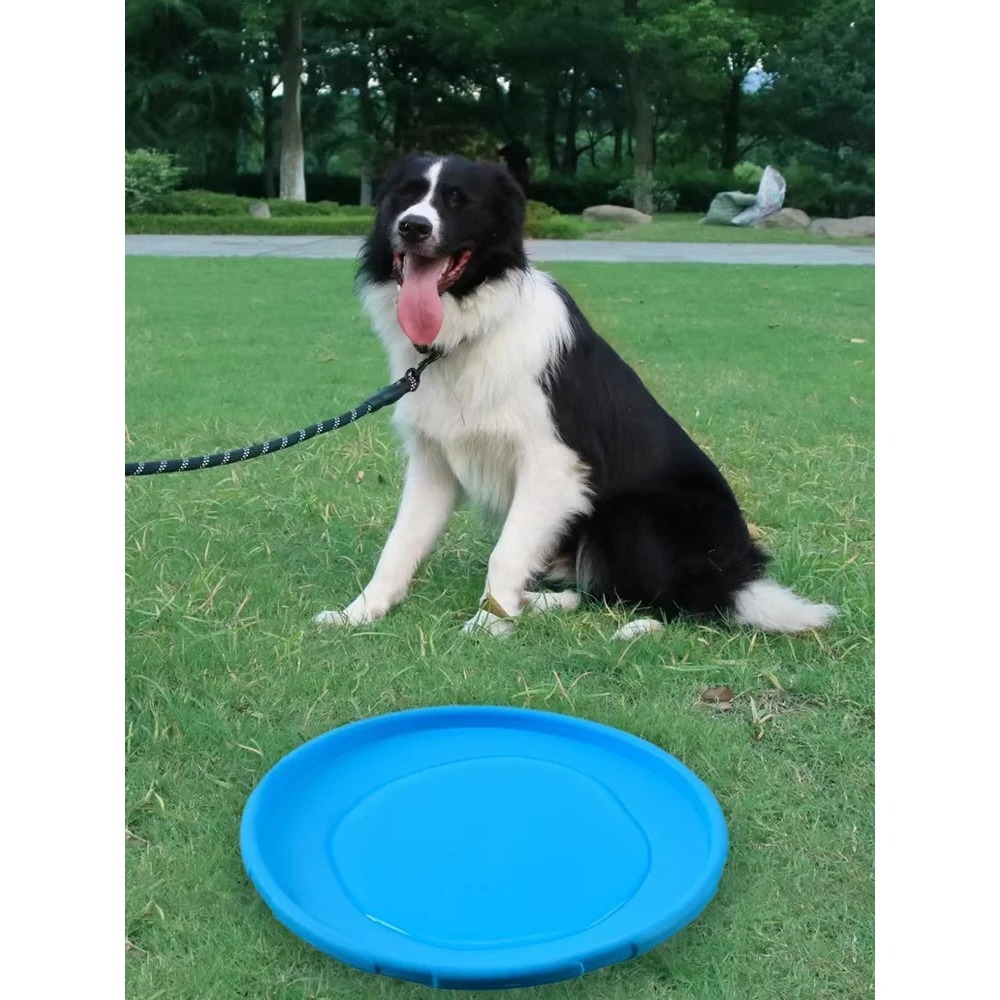 Disco Volante per Cani in TPR, - Flying Disc Dog Training Toy recensione e prezzo