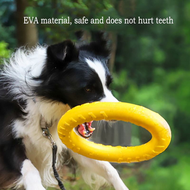Giocattoli per cani durevoli i - Indestructible Dog Chew Toy recensione e prezzo