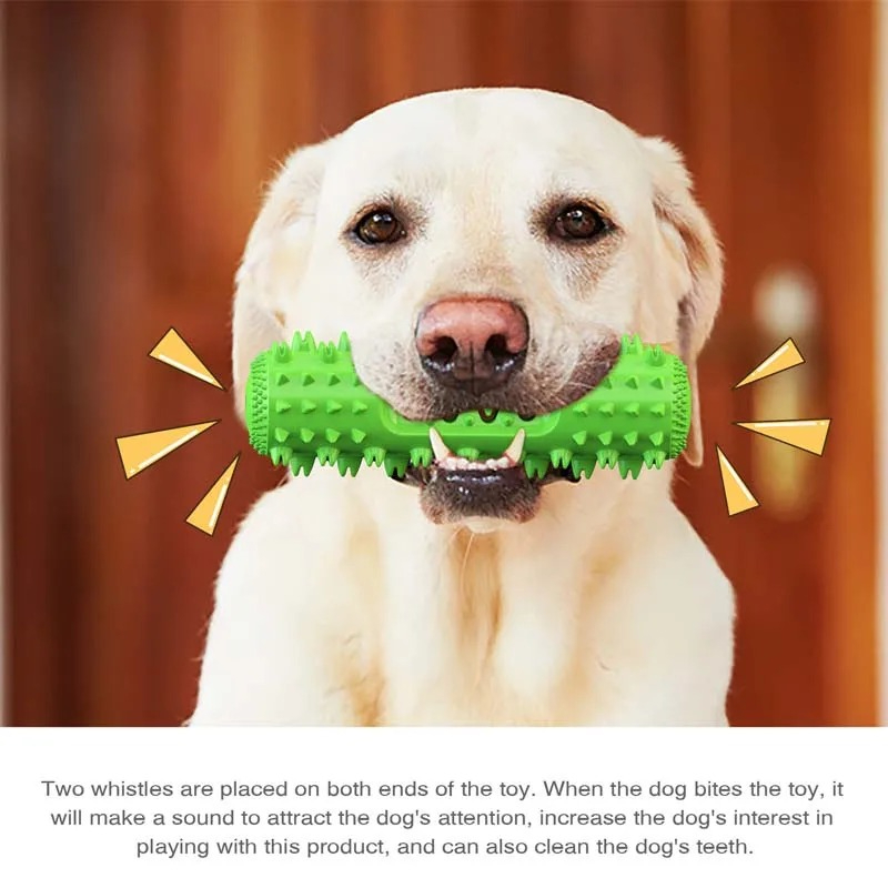 Giocattolo da masticare per ca - Rubber Treat Dispensing Dog Toy recensione e prezzo
