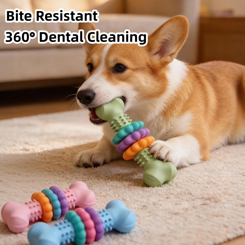 Giocattolo da Masticare per Ca - Teeth Cleaning Dog Chew Bone recensione e prezzo