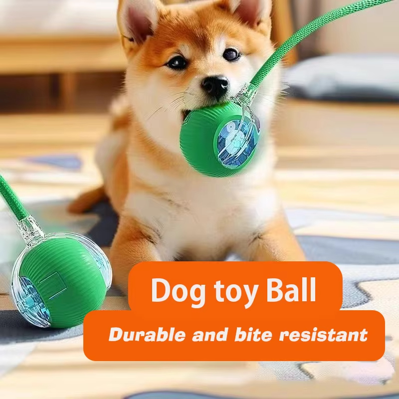 Nuova Palla Interattiva per Ca - Automatic Moving Dog Ball recensione e prezzo