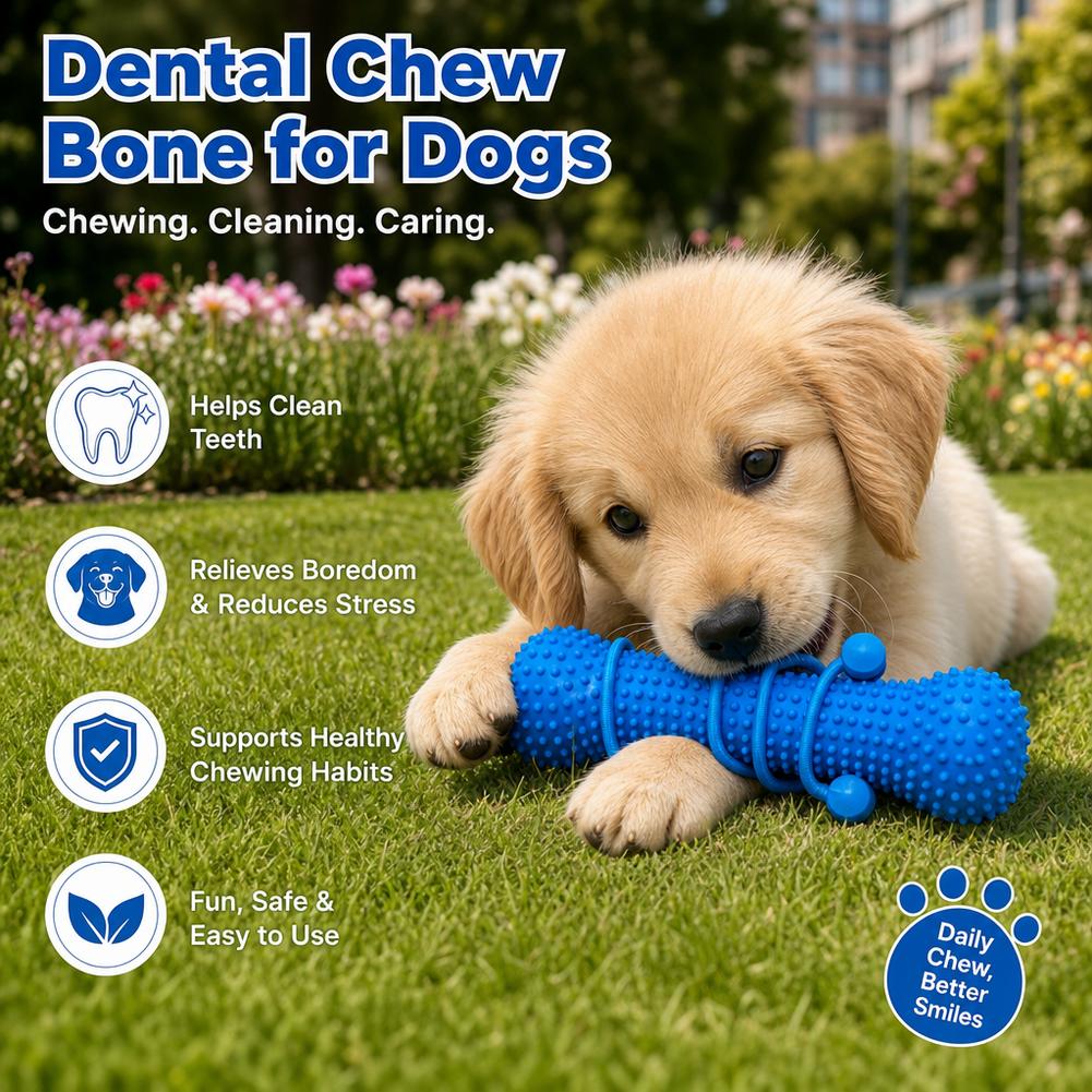 Giocattolo da masticare per la - Teeth Cleaning Dog Chew Bone recensione e prezzo