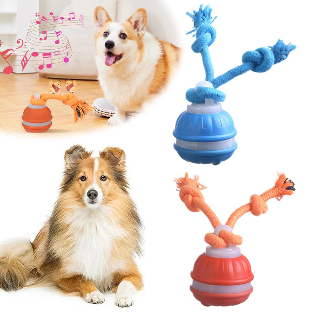 Giocattoli interattivi per can - Automatic Moving Dog Ball recensione e prezzo
