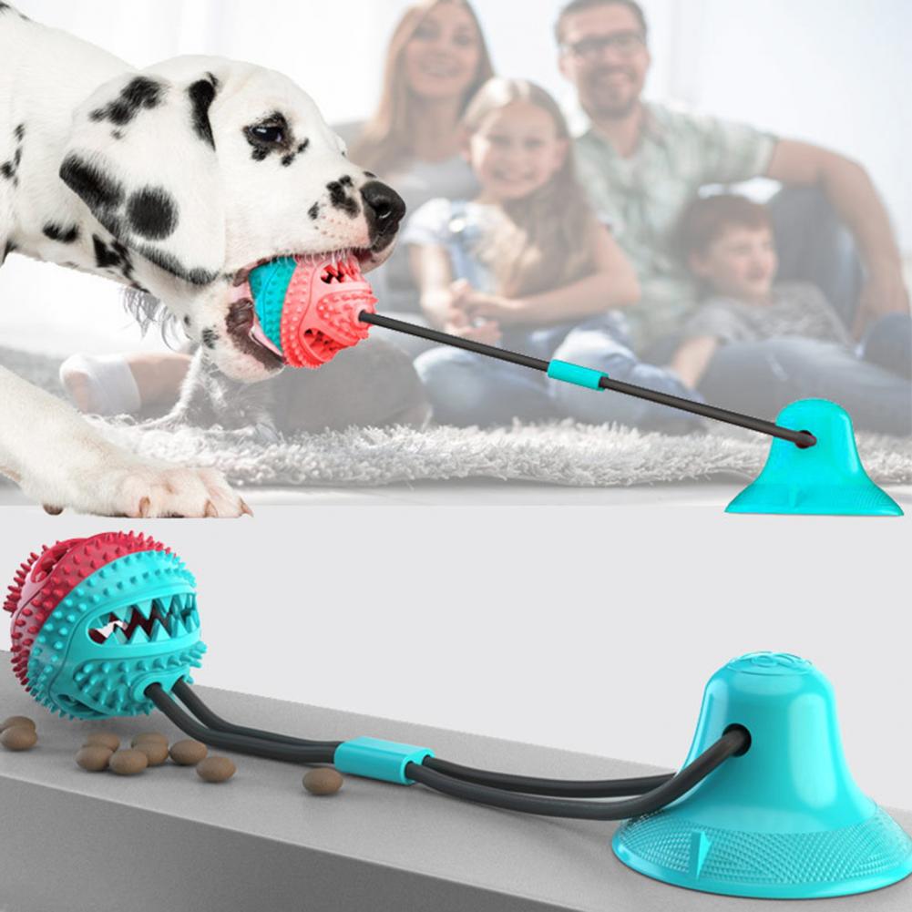 Giocattoli da masticare per ca - Rubber Treat Dispensing Dog Toy recensione e prezzo