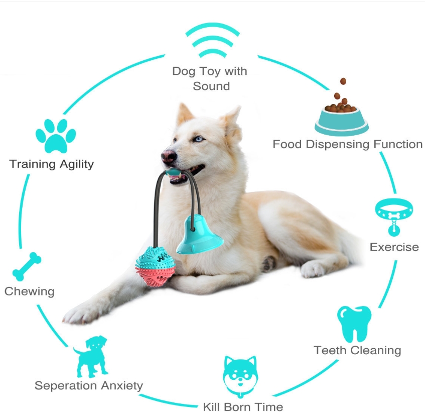 Giocattoli da masticare per ca - Rubber Treat Dispensing Dog Toy recensione e prezzo