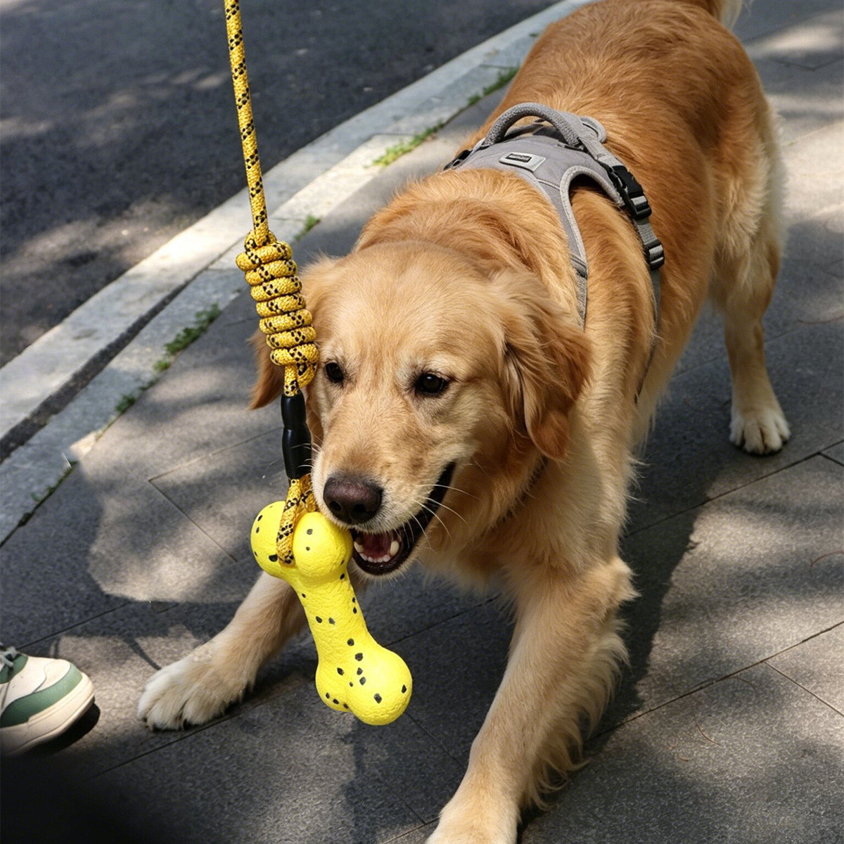 Giocattolo per Cani Resistente - Dog Rope Toy Aggressive Chewers recensione e prezzo