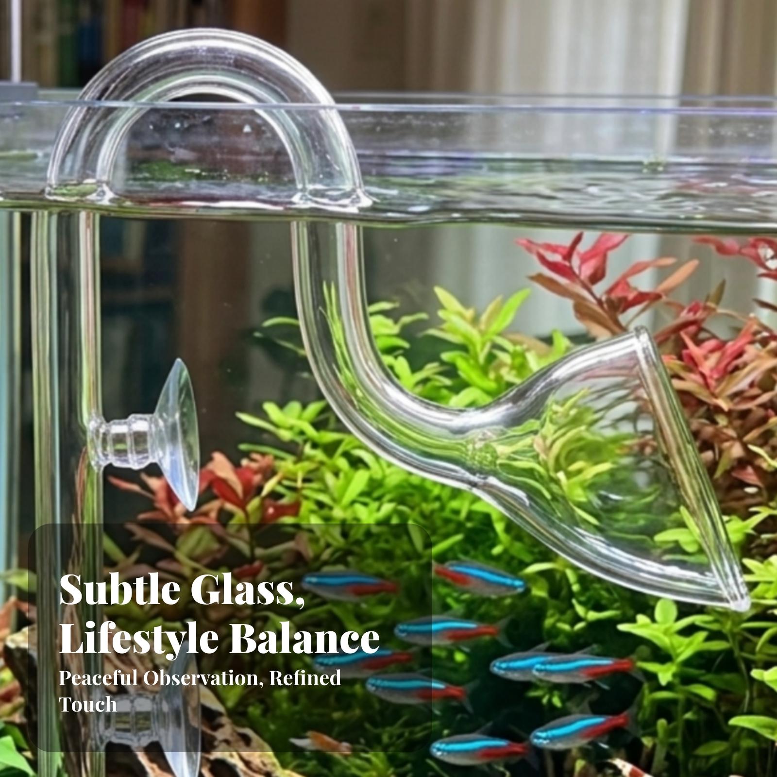 Set di tubi Lily Pipe traspare - Aquarium recensione e prezzo