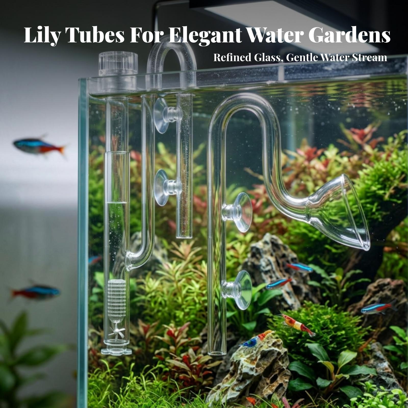 Set di tubi Lily Pipe traspare - Aquarium recensione e prezzo