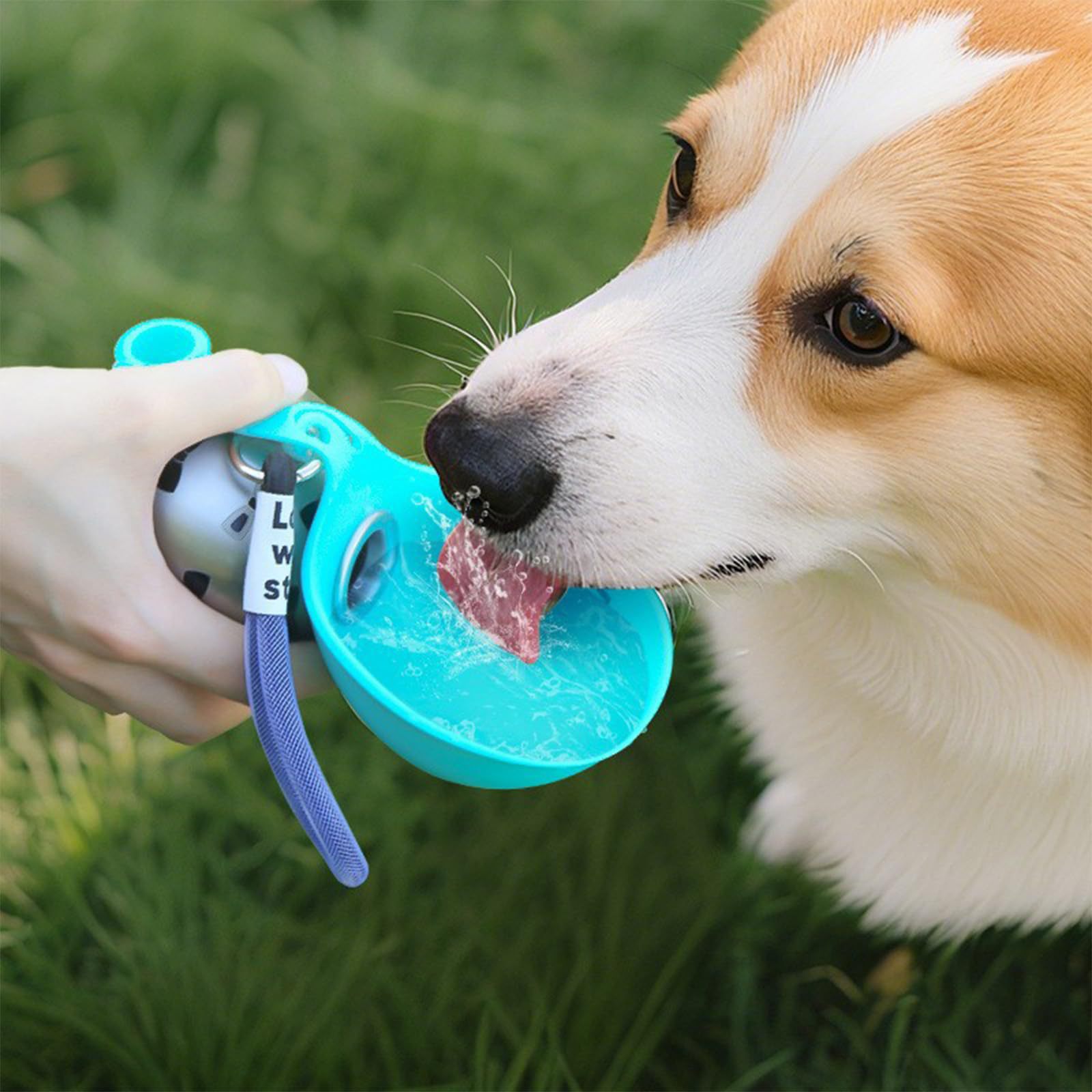 Dispenser d'acqua portatile in - Pet Feeders recensione e prezzo