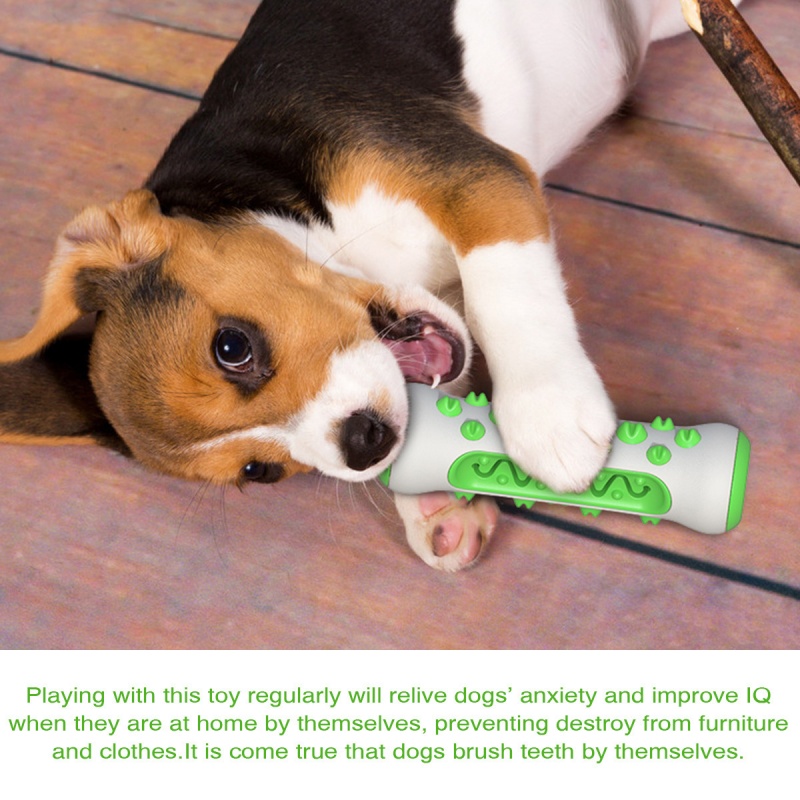 Bastoncino da Masticare per Ca - Teeth Cleaning Dog Chew Bone recensione e prezzo