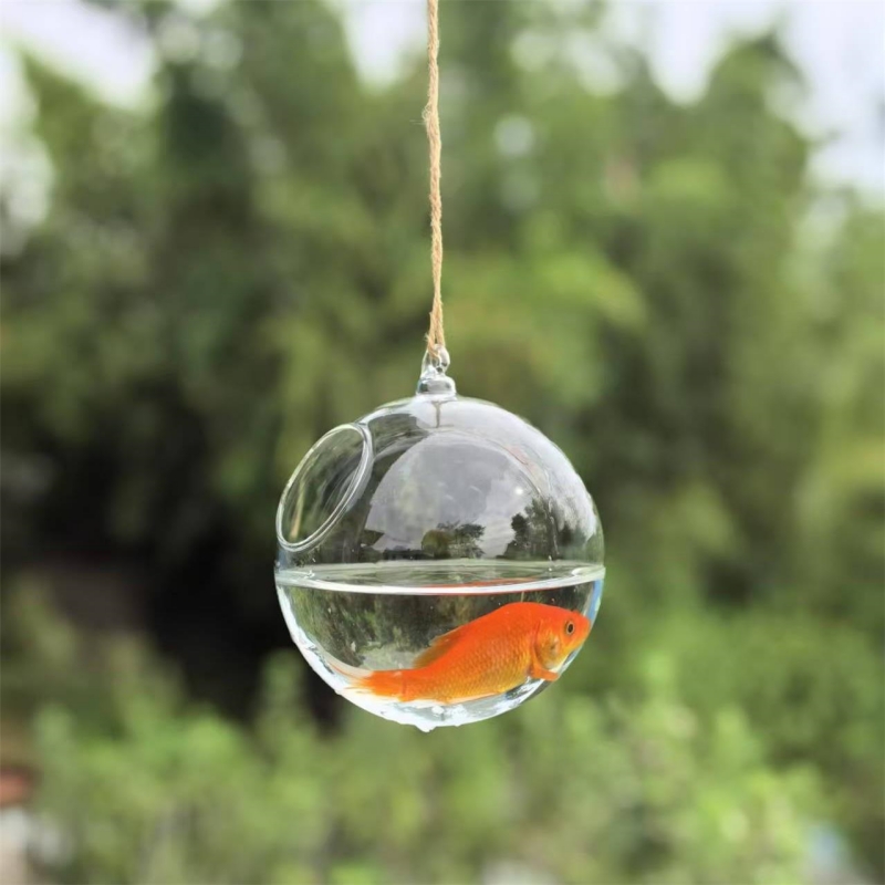 Terrario in Vetro Trasparente  - Aquarium recensione e prezzo