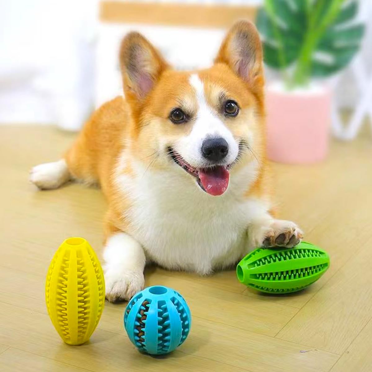 Giocattoli da masticare per ca - Indestructible Dog Chew Toy recensione e prezzo