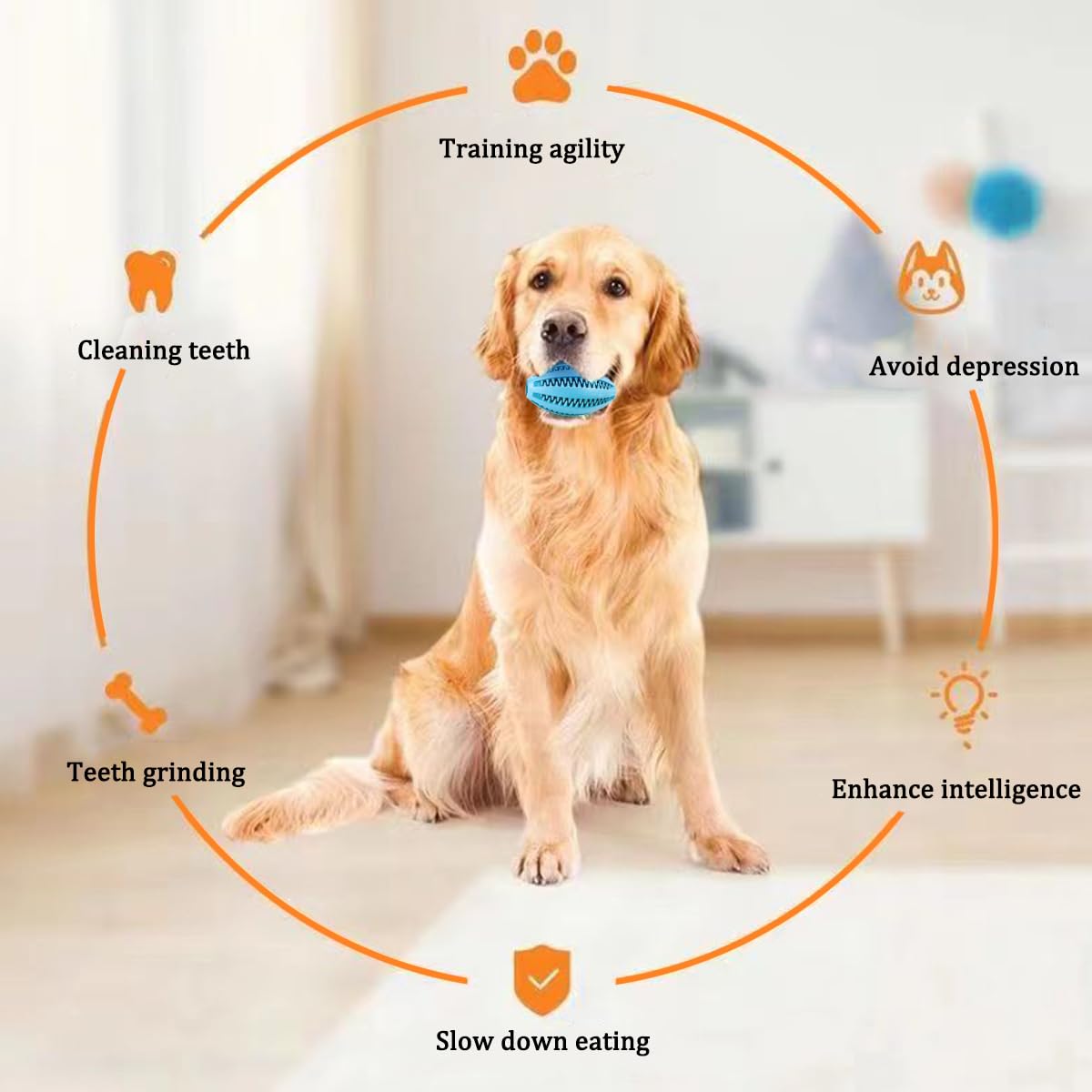 Giocattoli da masticare per ca - Indestructible Dog Chew Toy recensione e prezzo