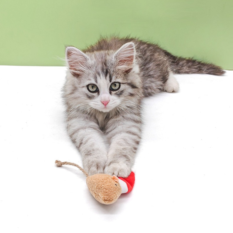 5 pezzi giocattolo da masticar - Catnip Interactive Plush Mouse recensione e prezzo
