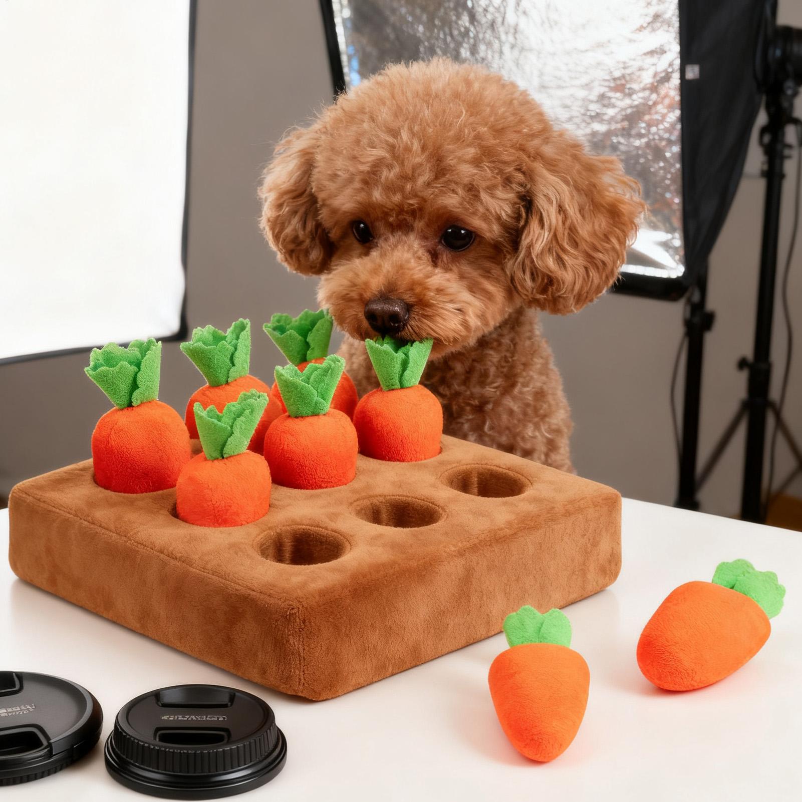 Giocattoli interattivi a forma - Snuffle Mat For Dogs recensione e prezzo