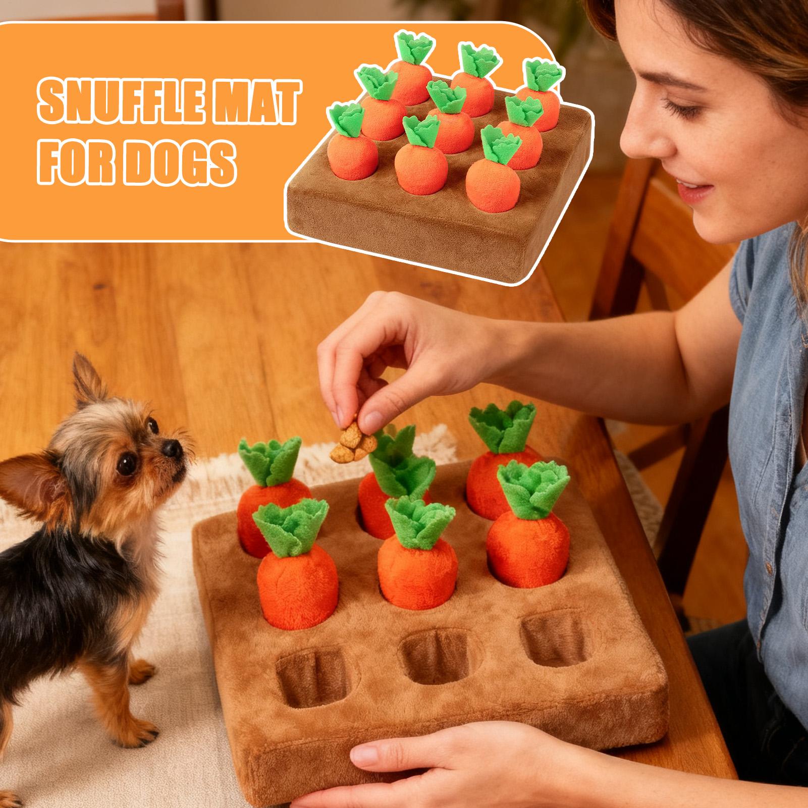 Giocattoli interattivi a forma - Snuffle Mat For Dogs recensione e prezzo