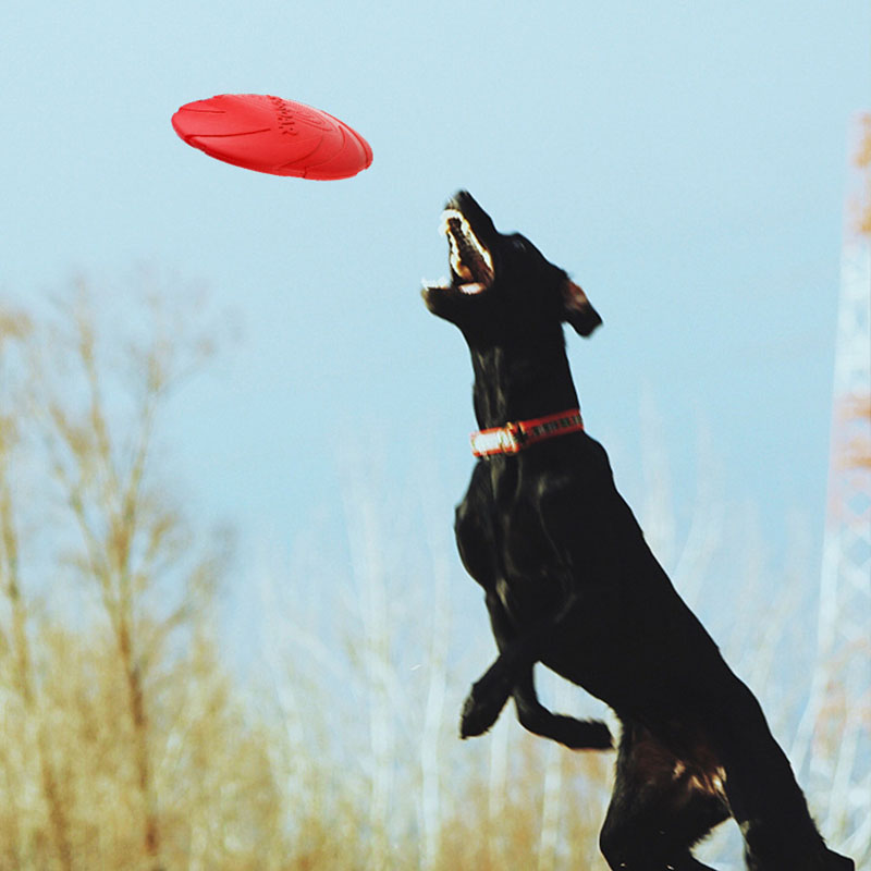 Dischi volanti in gomma per ca - Flying Disc Dog Training Toy recensione e prezzo
