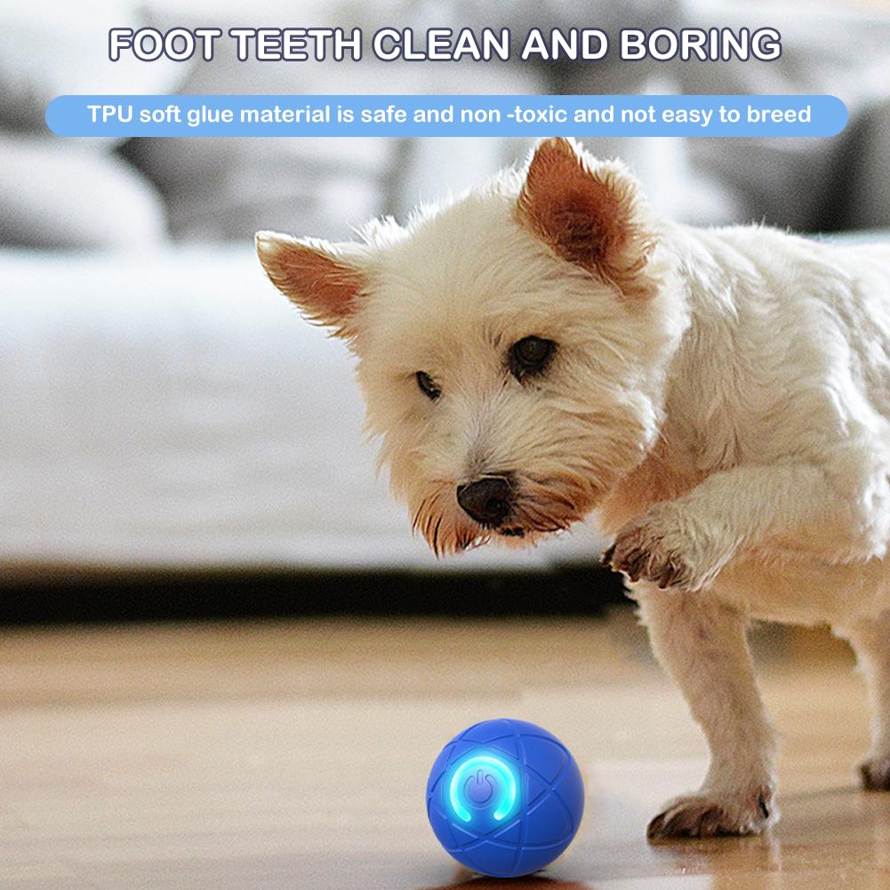 Giocattolo elettronico interat - Automatic Moving Dog Ball recensione e prezzo