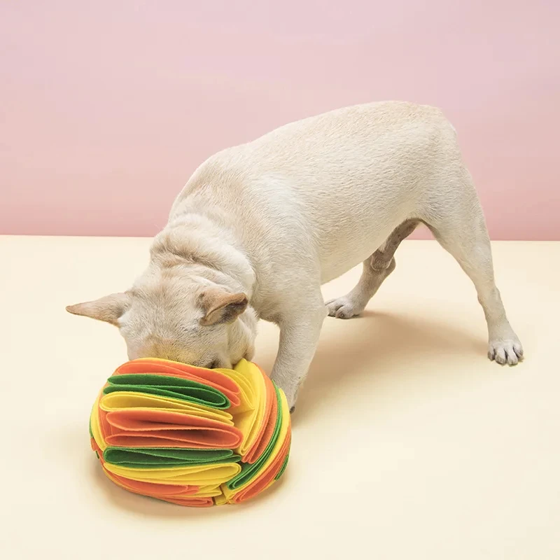 Cane Snuffle Ball Mat Sniffing - Snuffle Mat For Dogs recensione e prezzo