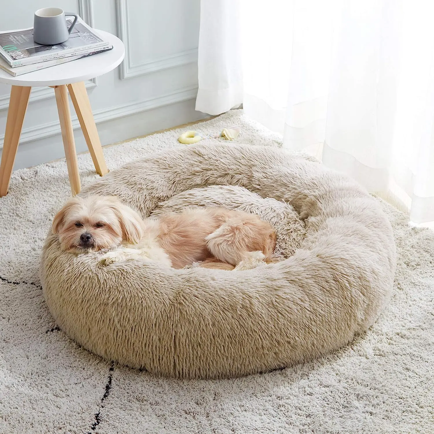 Cuccia Calda per Gatti, Nido M - Pet Beds recensione e prezzo