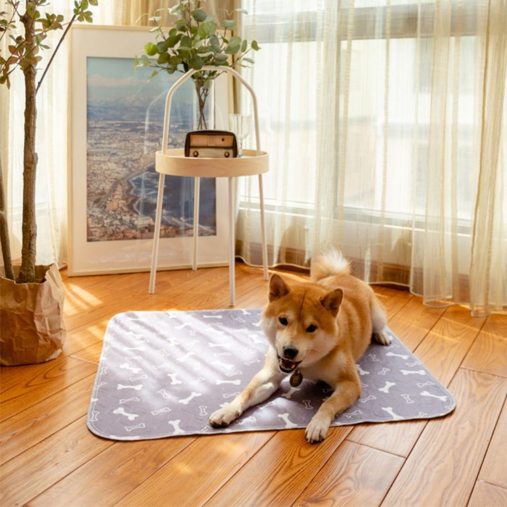 Tappetino per Animali Domestic - Pet Beds recensione e prezzo