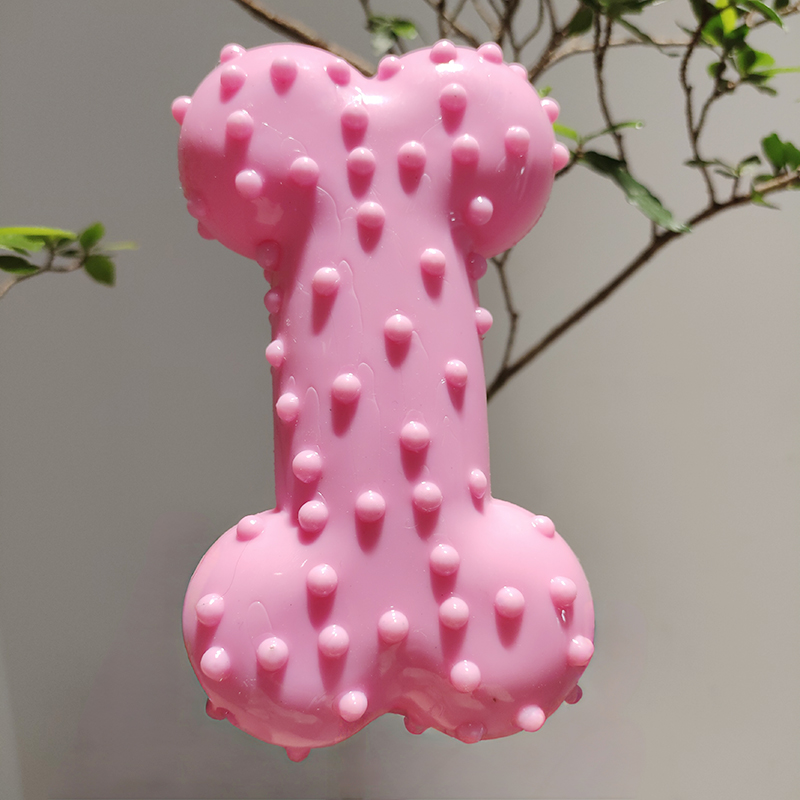 Giocattolo per cani Suono di g - Teeth Cleaning Dog Chew Bone recensione e prezzo