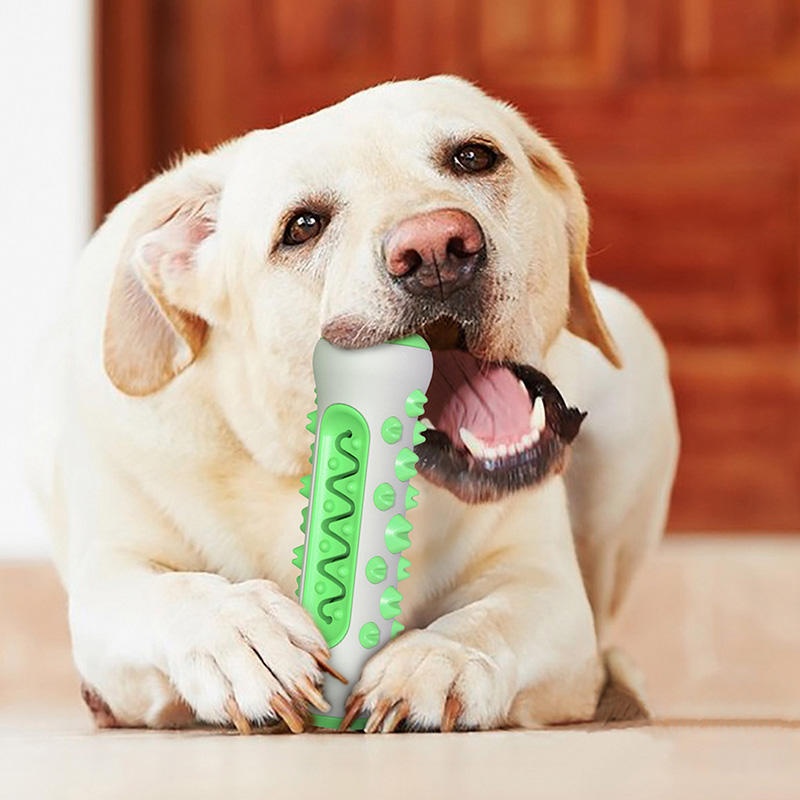 Bastoncino da masticare per ca - Teeth Cleaning Dog Chew Bone recensione e prezzo