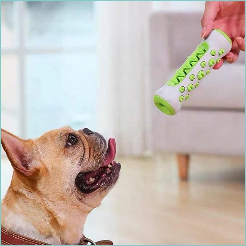 Bastoncino da masticare per ca - Teeth Cleaning Dog Chew Bone recensione e prezzo