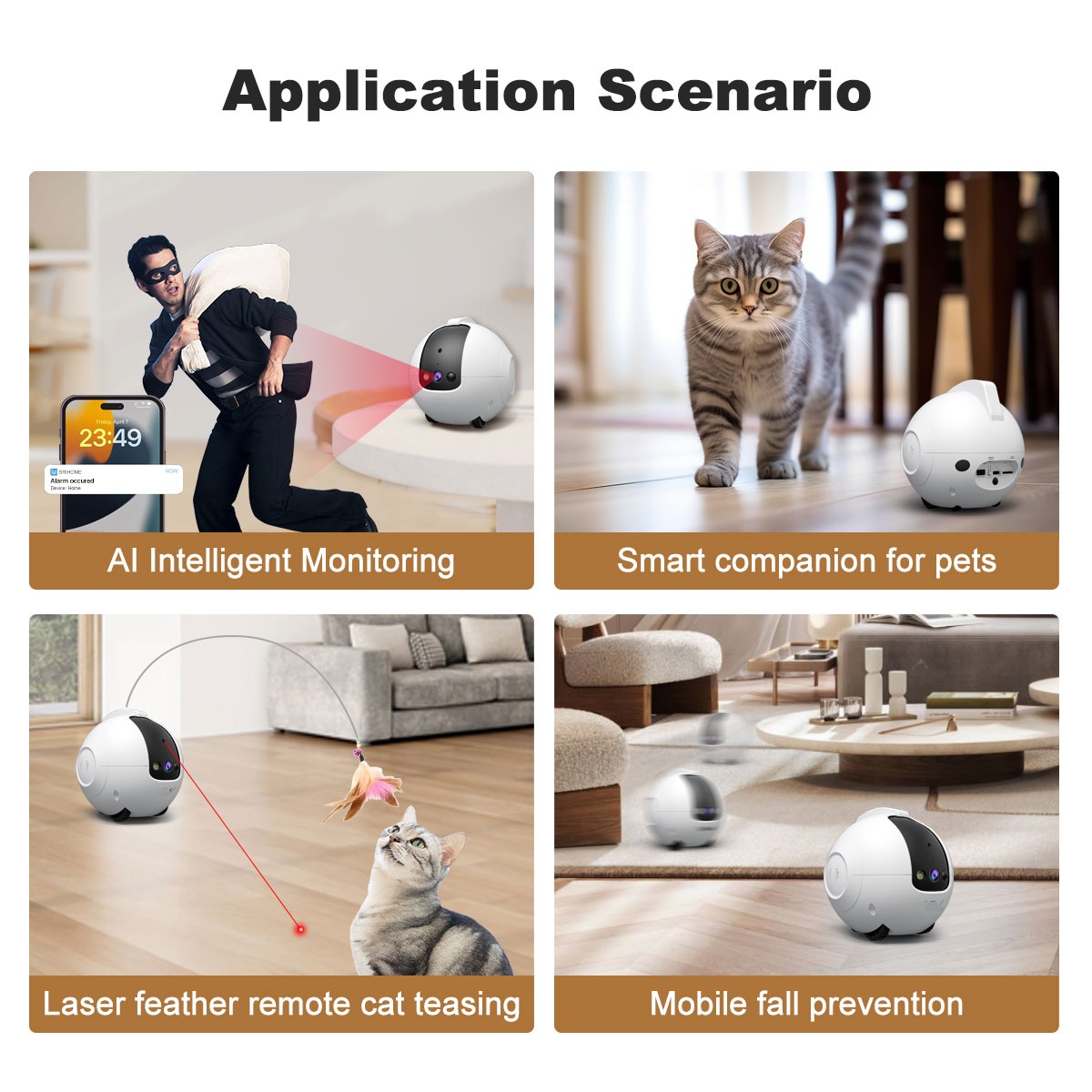Telecamera robot per animali d - Cat Toys recensione e prezzo
