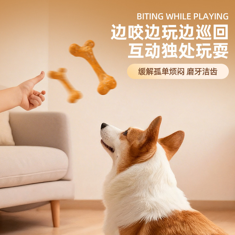 Giocattolo per cani TPR, resis - Teeth Cleaning Dog Chew Bone recensione e prezzo