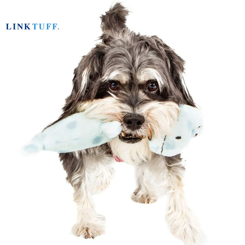 Linktuff Pet Dog Squeaky Train - Suction Cup Dog Tug Toy recensione e prezzo