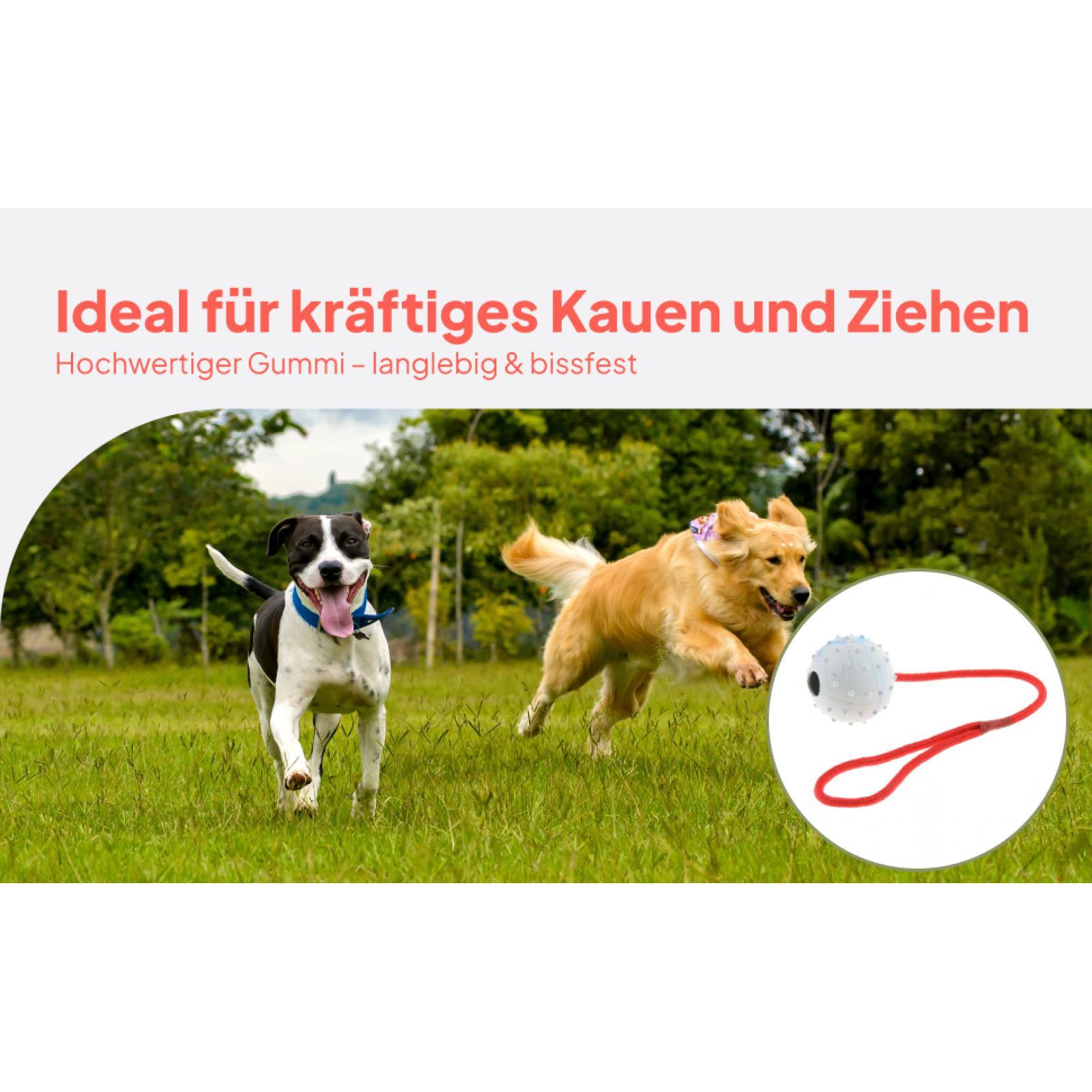 Giocattolo per Addestramento A - Rubber Treat Dispensing Dog Toy recensione e prezzo